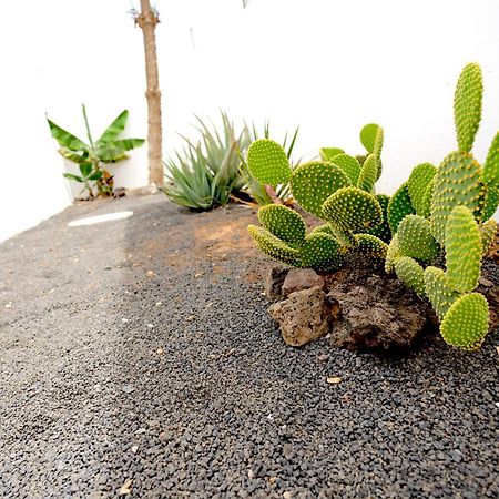 Villas Kalendra, Rofe, Lanzarote Guatiza Exteriér fotografie