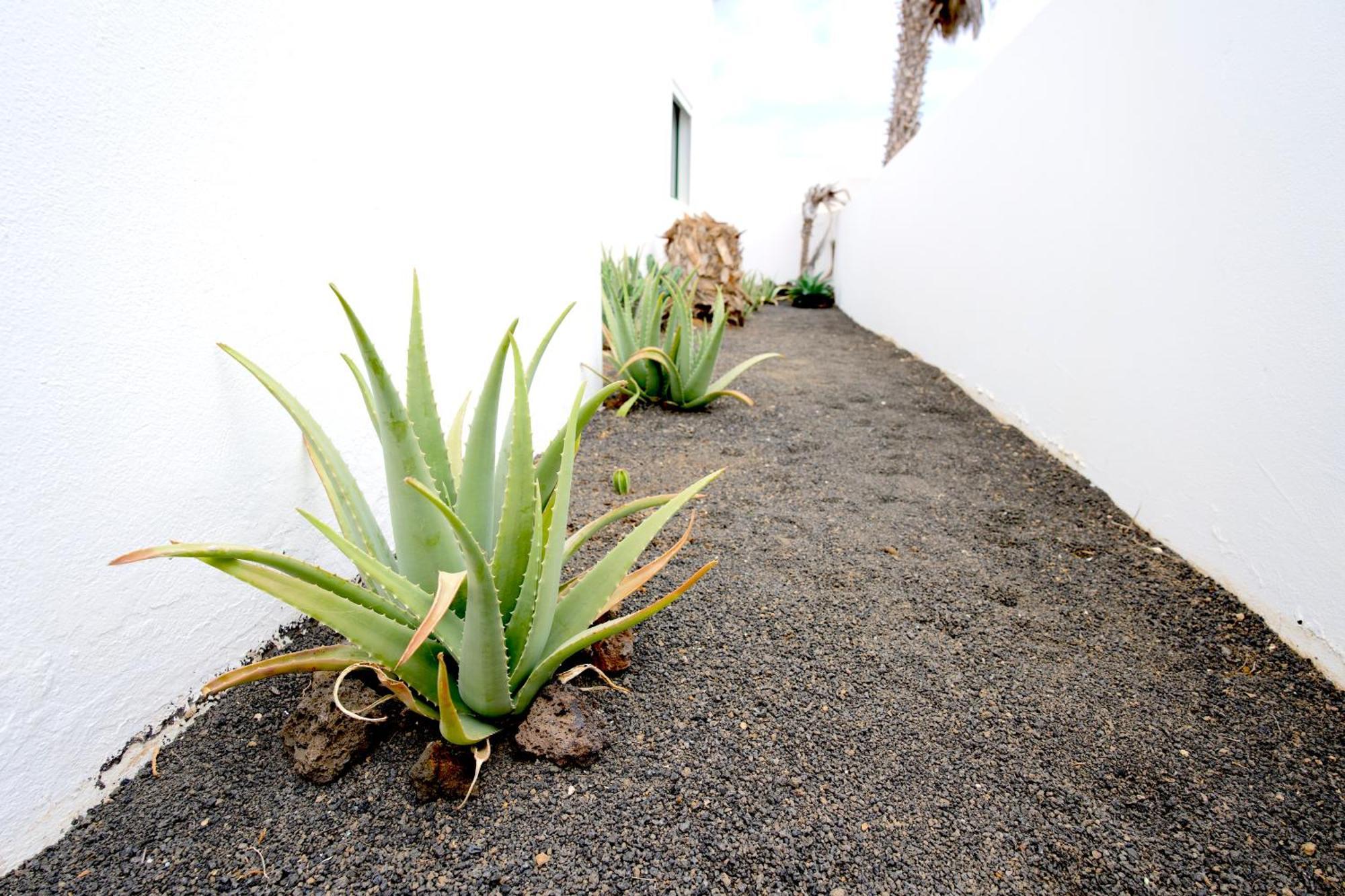 Villas Kalendra, Rofe, Lanzarote Guatiza Exteriér fotografie